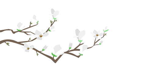 spring illustrations and lovely flower
