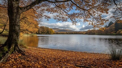 Fototapeta premium Serene Autumn Lake View with Vibrant Leaves and Reflective Water Surface : Generative AI