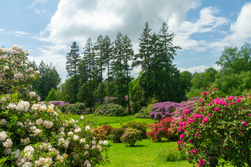 Obraz premium Printemps