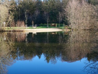 Tranquil lake reflections in a serene park setting.