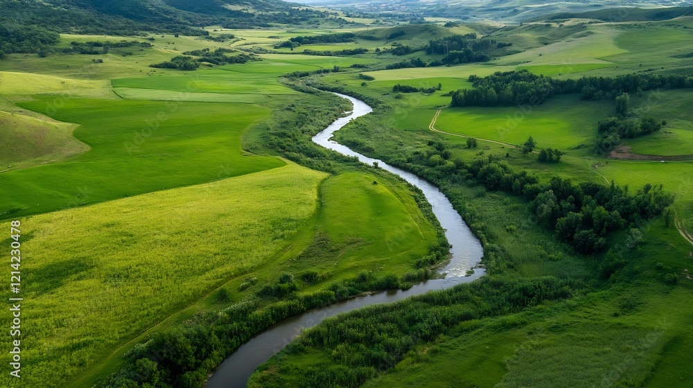 Poster scenic aerial view of serene green landscape with meandering river surrounded by rolling hills : gen