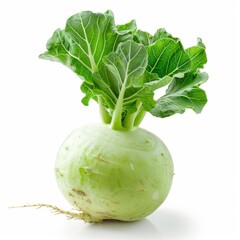 Fresh Raw Turnip with Green Leaves Isolated on White Background