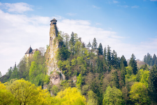medieval orava castle of slovakia, europe. fairytale stronghold. high tower above landscape with trees and meadow in spring. sunny day. culture heritage