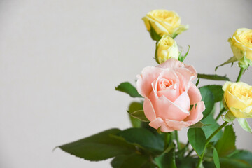 ピンクと黄色のばら