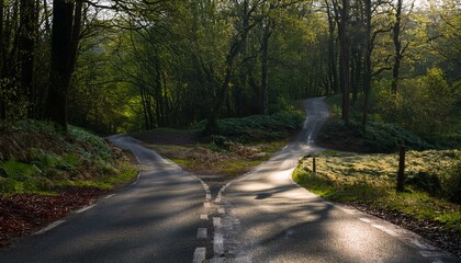 Obraz premium 分かれ道