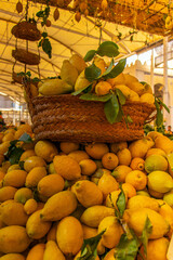 Green Grocer Shop in Tunisia: A Fresh Market Experience.