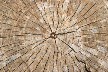 wood texture