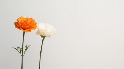 commercial photography for advertising campaign showcasing two halves of vibrant flower one blooming and one in silhouette