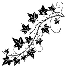 Ivy vine silhouette vector illustration.