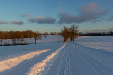 Snowy, straight winter road leading through the deciduous tree alley. The last rays of the setting sun shine on the snow field in the blue hour. Sunset in winter. Latvia