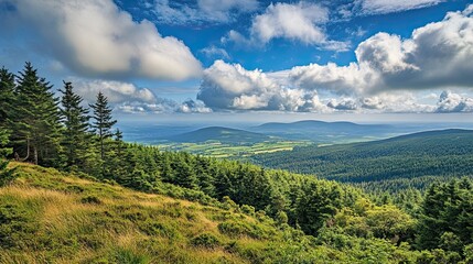 Mountaintop forest panorama, valley view, summer clouds, scenic landscape, travel photography