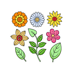Flower and Leaves Floral Collection Element Clipart Vector Design Illustration