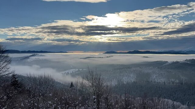 Snowy Winter Mountain Forest at Sunrise: Scenic Foggy Landscape