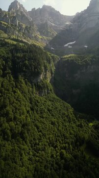 Vertical drone shot of beautiful mountain and forests, in summer afternoon under clear blue sky in Switzerland Alps