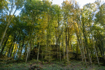 Naklejka premium Scenic diversity of Mullerthal, Luxembourg's Little Switzerland, Schiessentumpel Cascade hiking routes, rock formations, forests, tourist destination in Europe