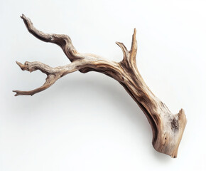 Fototapeta premium Unique driftwood piece showcasing intricate textures and natural contours found on a serene beach