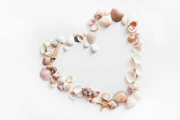 Summer seashells colourful collection