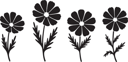 Obraz premium Set of black and white Silhouette of Cosmos flowers