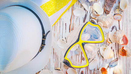 Summer seashells colourful collection