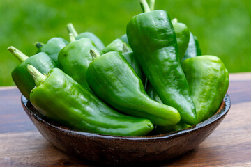 Padron green Spanish pepper or Herbón pepper landrace variety of pepper Capsicum annuum from ...