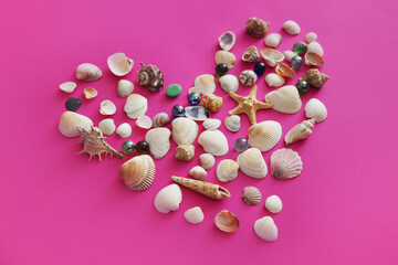 Summer seashells colourful collection