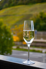 Tasting sparkling white wine, traditional champagne method making of cremant in caves on Moselle river valley in Luxembourg, glasses of wine and view on terraced vineyards