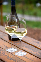 Glasses of white dry riesling wine made on Moselle river valley in Germany or Luxembourg, view on terraced vineyards