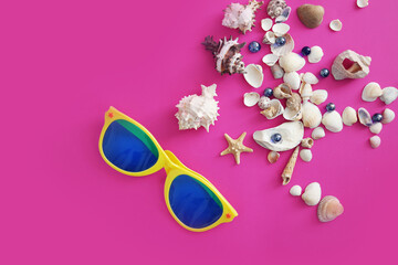 Summer seashells colourful collection