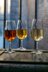 Sherry wine tasting, fino, olorosso, amontillado, cream jerez sherry fortified wine made from palomino white grape in bogedas in Jerez de la Frontera, Cadiz, Andalusia, Spain