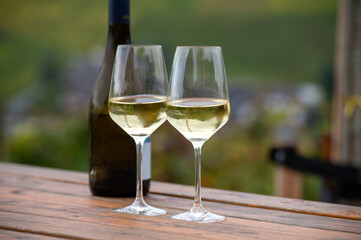 Glasses of white dry riesling wine made on Moselle river valley in Germany or Luxembourg, view on terraced vineyards