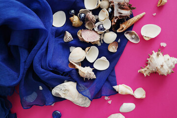 Summer seashells colourful collection