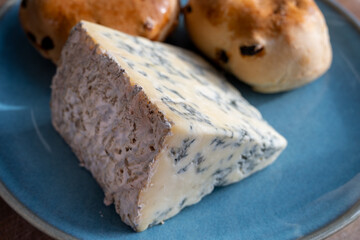 Cheese collection, English cow milk semi-soft, crumbly old stilton blue cheese and baked scones buns