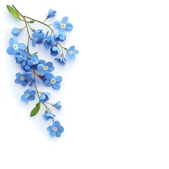 Springtime theme, greeting card. Blue flower, copy space white background, masterpiece, high quality