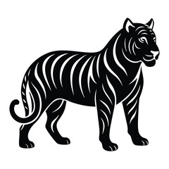 white tiger vector  on white background