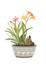 Hand drawn gentle graphic style branch of colorful orchid tree in flowerpot isolated on white background