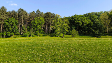 spring in the public park in sunlight