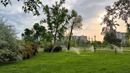spring in the public park in sunlight