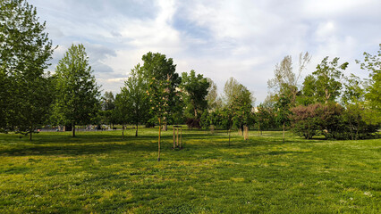 spring in the public park in sunlight