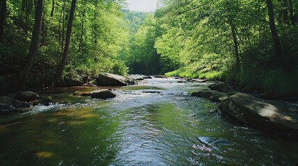 Obraz premium Serene forest stream flowing through lush greenery. Nature background for travel or relaxation