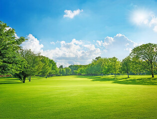 Obraz premium 芝生の公園と青空