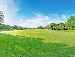Obraz premium 芝生の公園と青空
