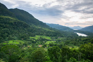 Obraz premium The very beautiful nature in sri lanka, also called the pearl of the Indian ocean. Travel in Asia