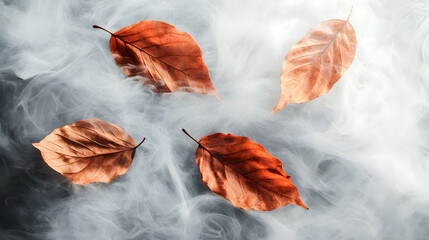 Four Brown Leaves Partially Obscured by Swirling Smoke Against a Dark Floor, Creating a Mysterious and Ethereal Atmosphere