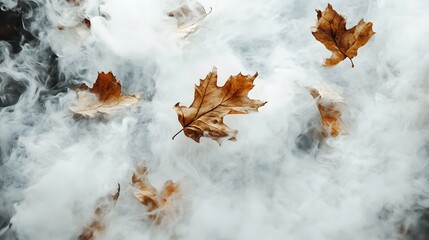 Close-Up View of Several Dried, Light Brownish-Orange Leaves Floating Amidst a Cloud of White Smoke, Creating a Hazy, Ethereal Atmosphere