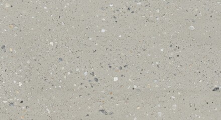 Textured Concrete Surface:  A close-up shot of a concrete surface with a subtle, textured pattern. The light gray background is punctuated by numerous tiny black and white flecks.