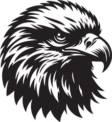 eagle vector illustration