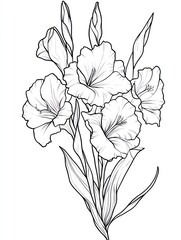 Obraz premium Elegant Line Drawing of Gladiolus Flowers