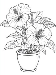 Hibiscus Flowers Blooming in a Decorative Pot