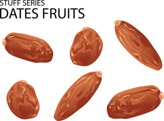 various of delicious dates fruits