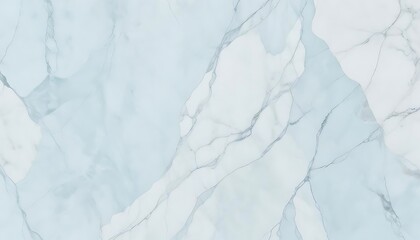 Fototapeta premium snow covered branches